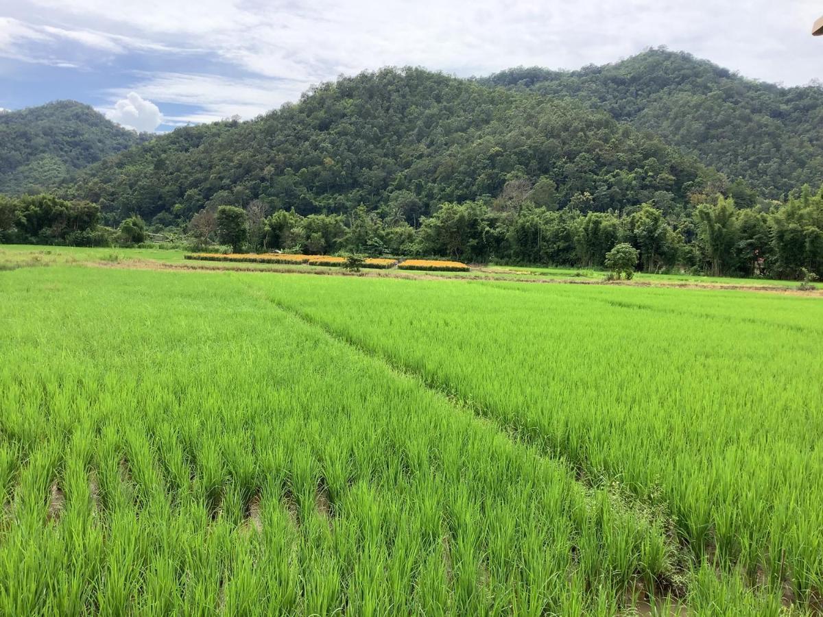 บ้านสวนวิวทุ่ง Ban Mae Sap Nua 外观 照片