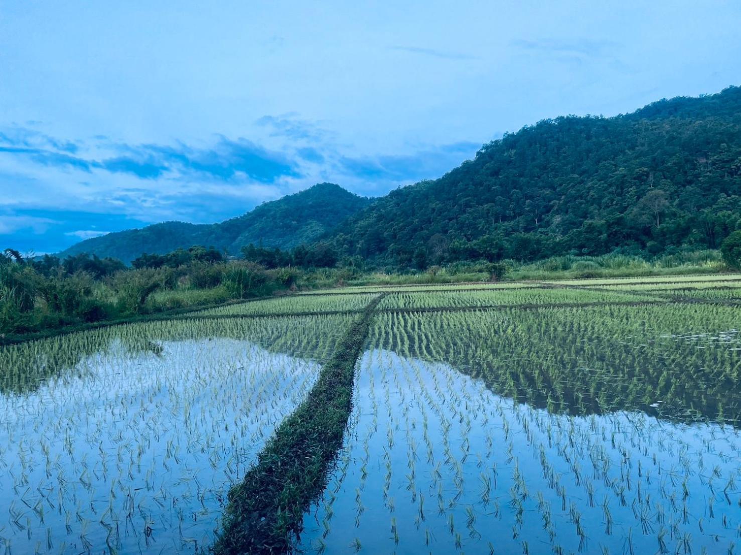 บ้านสวนวิวทุ่ง Ban Mae Sap Nua 外观 照片