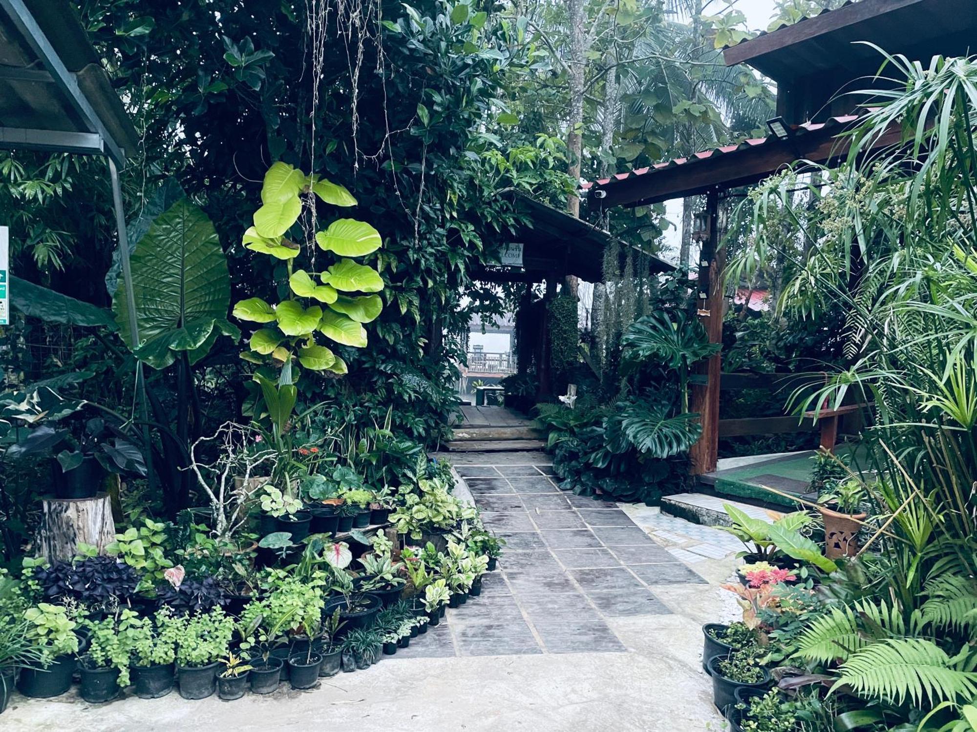 บ้านสวนวิวทุ่ง Ban Mae Sap Nua 外观 照片